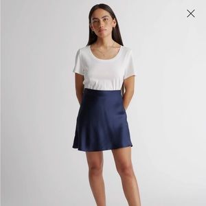 Babaton Skirt size 0